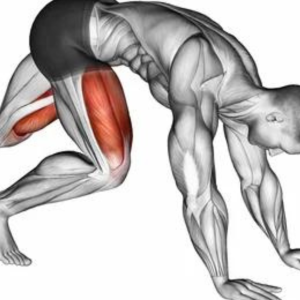 What Muscles Do Mountain Climbers Work