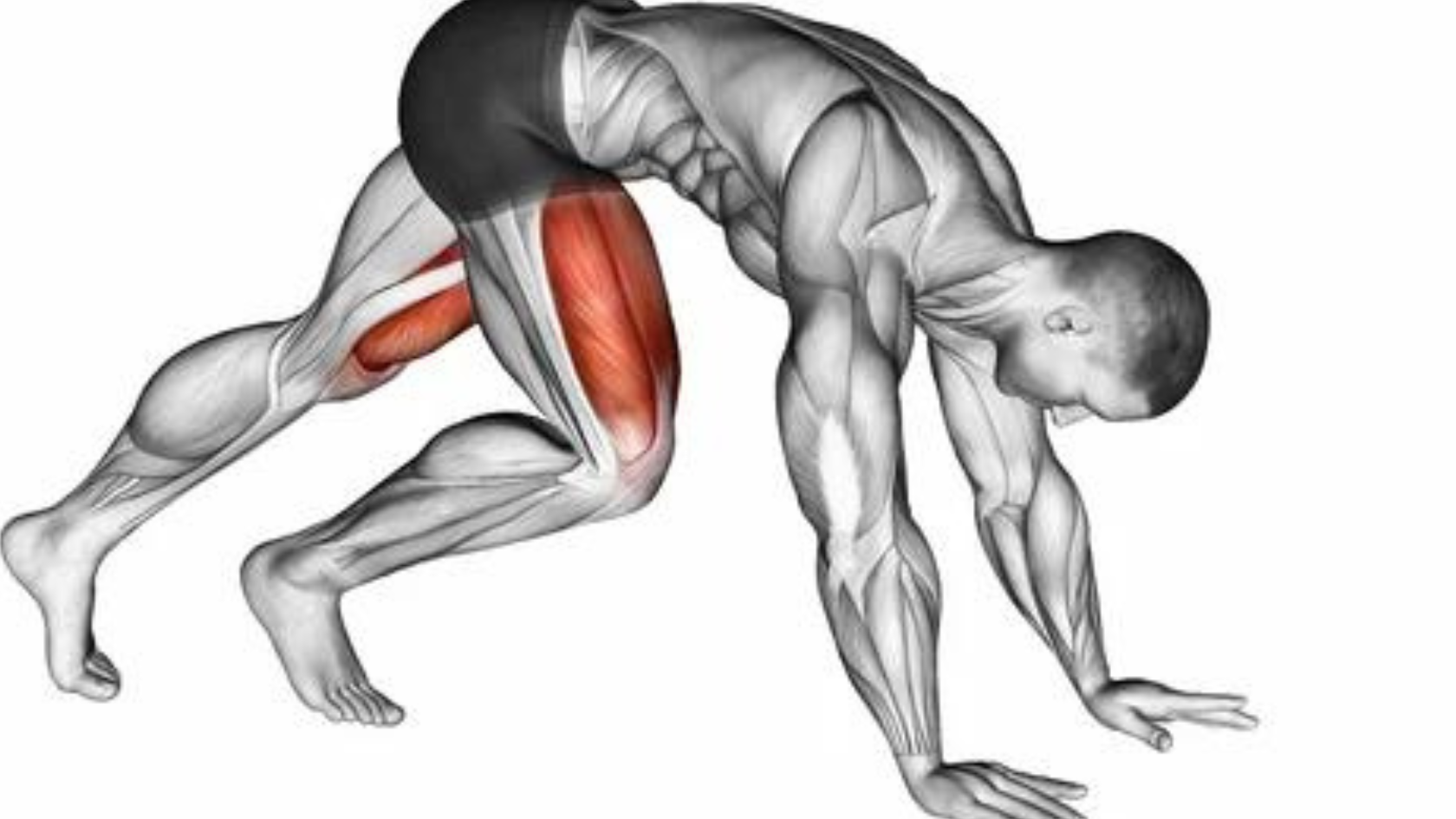 What Muscles Do Mountain Climbers Work?